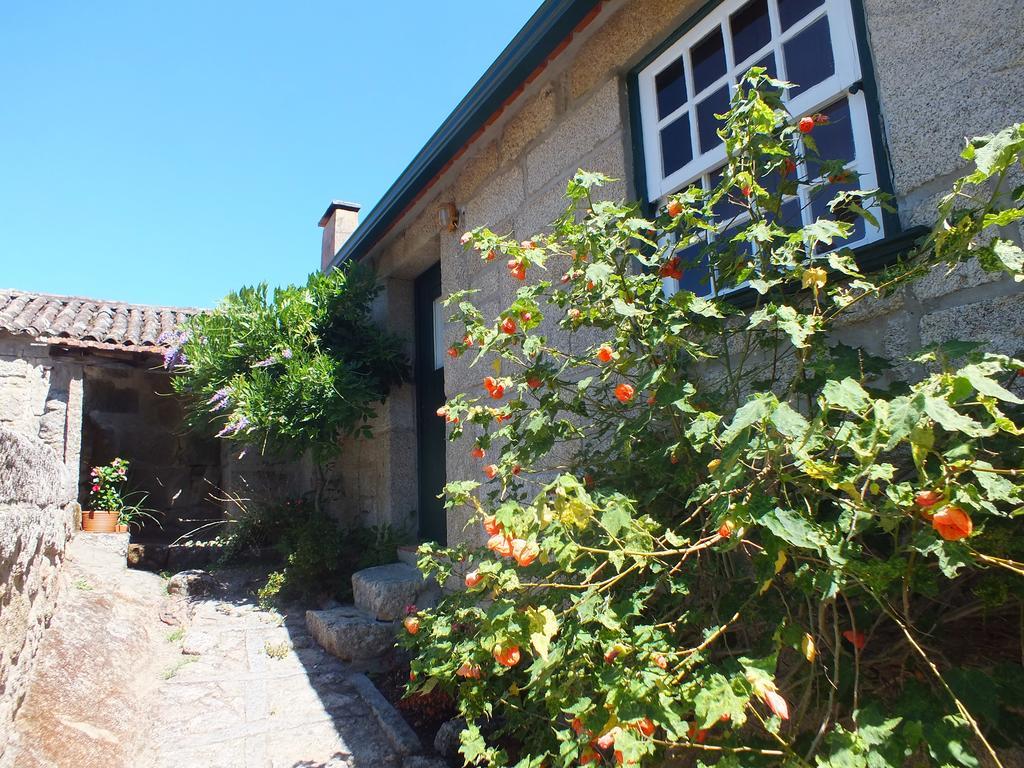 Quinta Do Caritel Villa Воузела Стая снимка