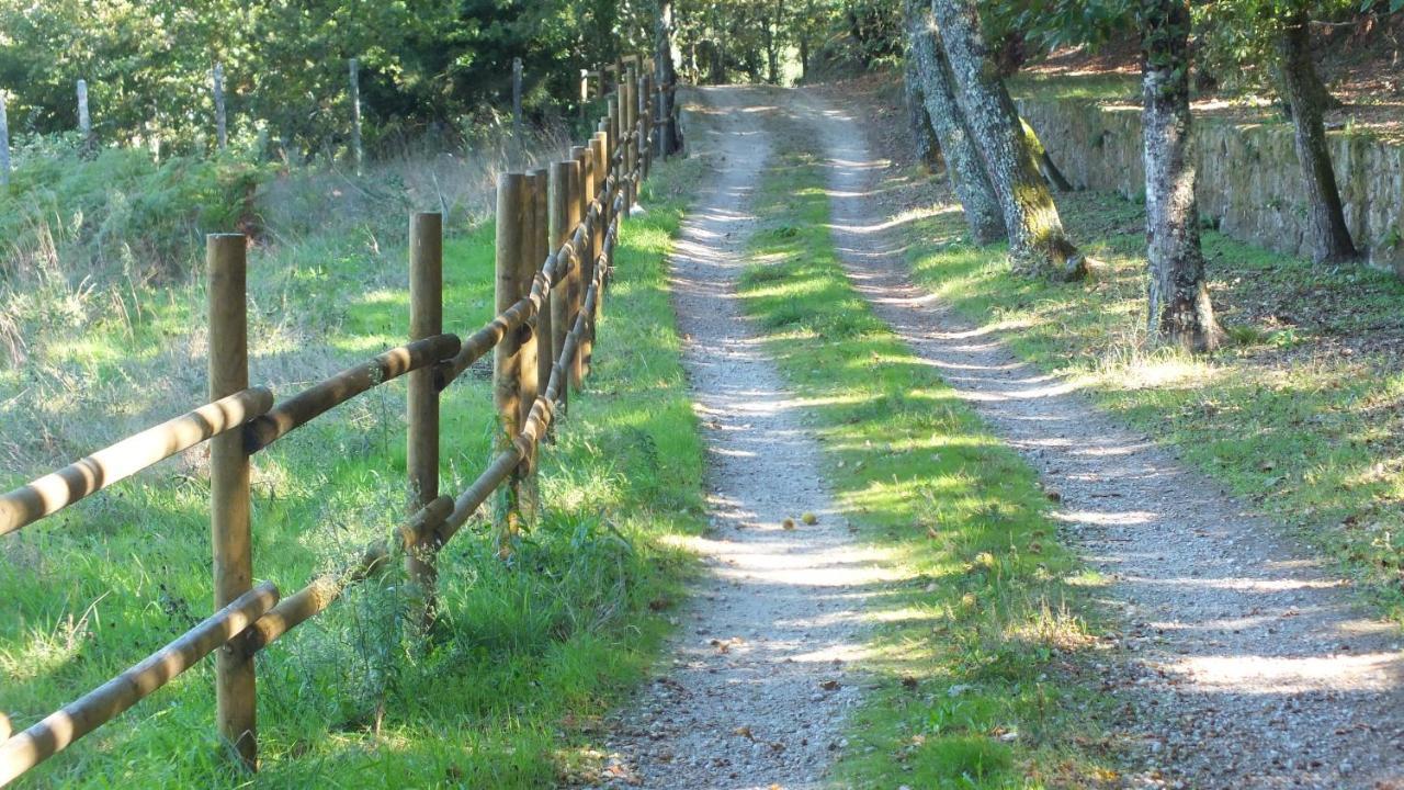 Quinta Do Caritel Villa Воузела Екстериор снимка