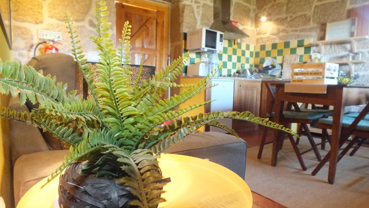 Quinta Do Caritel Villa Воузела Екстериор снимка